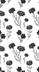 Black & White Botanical Ink Drawing: Elegant Floral Pattern