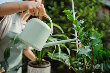 Close up of young woman's hand holding watering can and watering plants	
