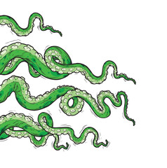 Tentacles of octopus, vector hand drawn collection of illustrations. Black and white engraving style drawings. Tentacle straight and with rings in different angles.