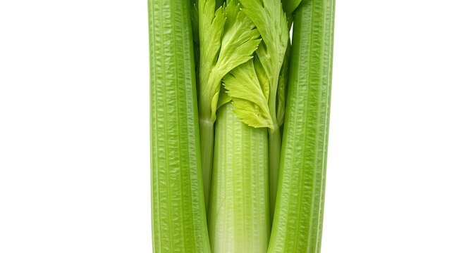 Crisp Celery Stalks: Vibrant Green, Fresh from the Garden