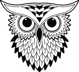 owl on white background