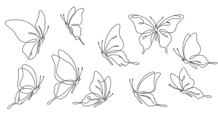 Elegant Line Art: A Flutter of Butterflies