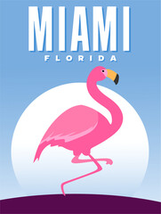 beautiful view of miami city florida with a flamingo