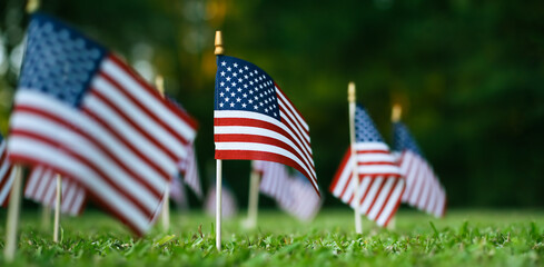 Small USA flags outdoors in green grass. Symbolic of Americans courage and sacrifice. For Memorial...
