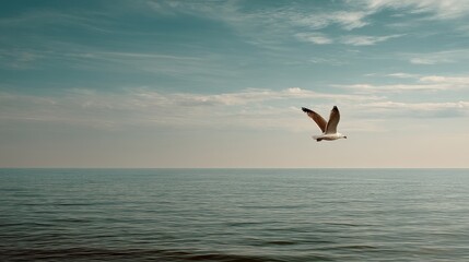 Solitary seagull mid-flight across a calm ocean, beige-toned sky and desaturated waves, film grain and low contrast for a quiet luxury feel.