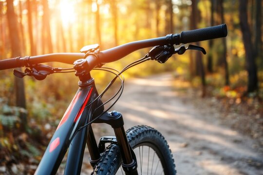 close up of bicycle handle with brakes