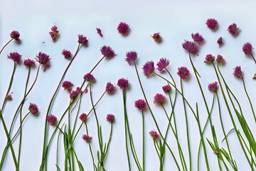 Naklejka premium Vibrant purple flowers with green stems arranged against a light blue background.