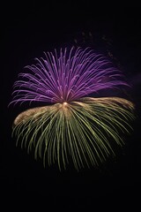 二色の花火