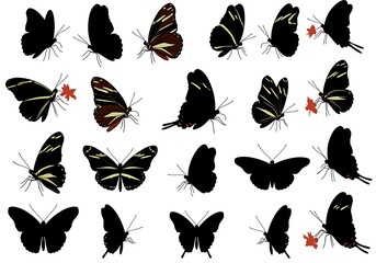 Fototapeta premium Silhouette Butterflies: Elegant Black & Brown Flutter