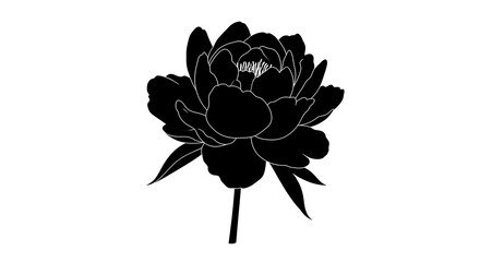 Obraz premium Black Peony Line Art: Elegant Floral Silhouette