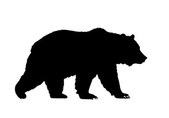Fototapeta premium Majestic Bear Silhouette: Powerful, Dark Elegance
