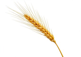 Isolated view of a plain white baseball cap on white background