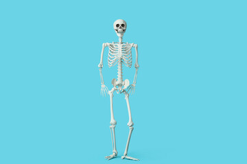 Scary human skeleton on blue background