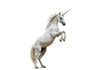 Obraz premium Majestic white unicorn rearing up on its hind legs against a plain background