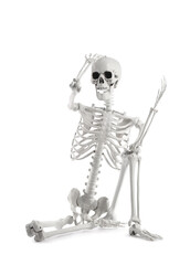 Scary human skeleton sitting on white background