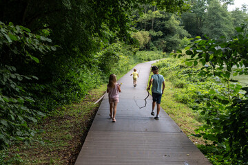 Group of cheerful children walking on wooden path through lush green forest, while enjoying outdoor adventure. Concept of childhood exploration, nature connection, and active lifestyle. 