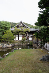 日本、京都、高台寺、紅葉、黄葉、秋、寺院、佛寺、佛教、木造建築、古代建築、庭園、文化財、日本文化、歷史名勝、綠色、風景、青空、写真素材