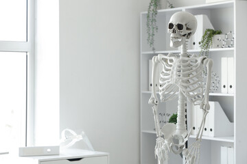 Interior of light hospital with human skeleton model