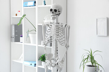 Human skeleton model in light hospital, closeup