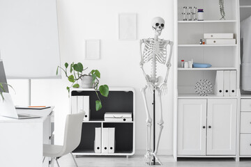 Interior of light hospital with human skeleton model and modern laptop on table