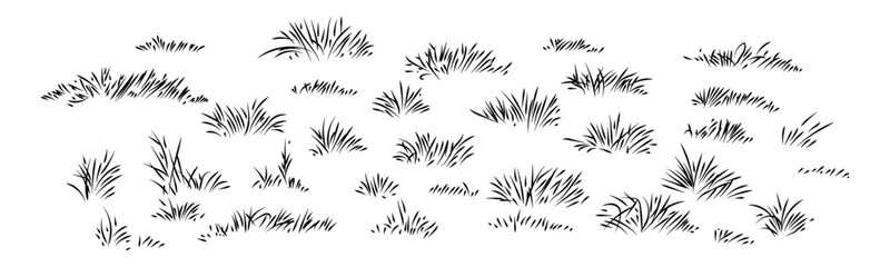 Black and White Grass Tufts, Meadow, Nature, Field, Line Art, Vector, Illustration, Set, Design Element