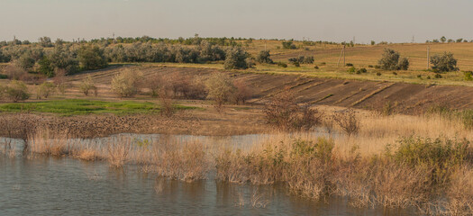 The behavior of birds in autumn. A flock of starlings flies over the shoreline of the lake. Flora and fauna of the steppe.