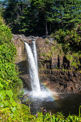 waterfall in the forest