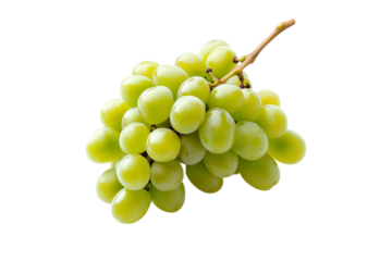 Fresh green grapes hanging in bunch nature setting close-up vibrant colors, isolated on white or transparent background