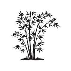 silhouette of bamboo tree