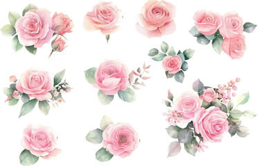 Naklejka premium set of pink roses