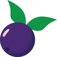 Vector illustration of açaí berries in a decorative style. Perfect for digital projects, food packaging, culinary artwork, natural products, and healthy lifestyle themes.