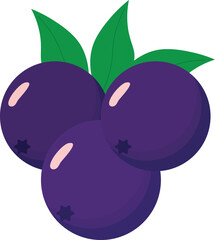 Vector illustration of açaí berries in a decorative style. Perfect for digital projects, food packaging, culinary artwork, natural products, and healthy lifestyle themes.