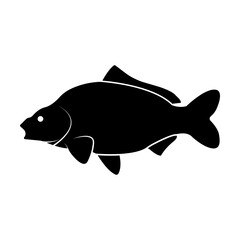 Elegant Carp Fish Icon Vector Illustration. This versatile design features a sleek and detailed representation of a carp fish, perfect for logos, branding, decorative elements, and more.