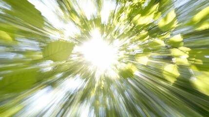 Mesmerizing light rays filtering through a lush verdant foliage canopy creating a serene and ethereal natural scene