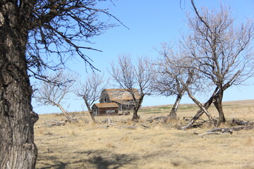 Stepping into the Old West