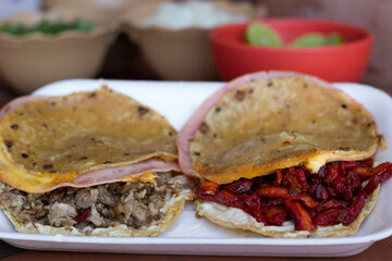 An appealing image showcasing two different tacos filled with savory meats and garnished with fresh ingredients, perfect for any taco lover looking for variety.