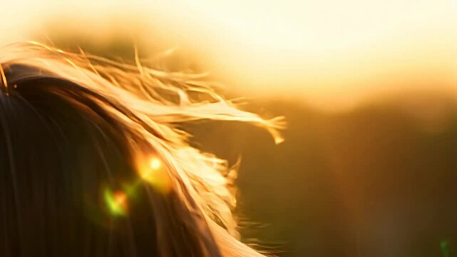 close-up video of individual hair strands catching the warm, golden hour glow and shimmering as a slow zoom in captures them blowing in a gentle breeze, concept of natural beauty and tranquility