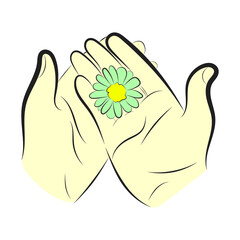 Hands Holding Green Daisy Flower Vector Illustration