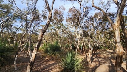 Deep Creek National Park in South Australia