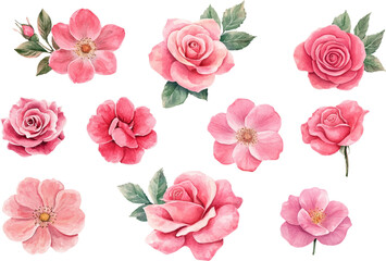 seamless pattern with pink roses