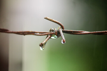 close up of a fence wire	
