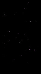 幻想的な演出に使える散りばめられたピンクのグラデーションの小さな円形の素材（背景透過）