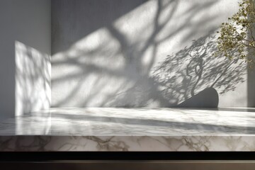 Marble surface with elegant shadow play and tree reflection.
