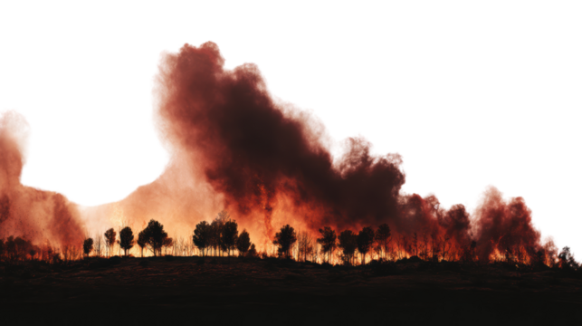 Wildfire smoke envelops a forest landscape.