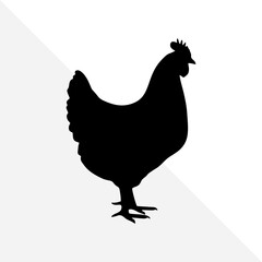 Silhouette of Farm Bird – Chicken on White