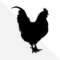 Minimalist Chicken Silhouette on Plain Background