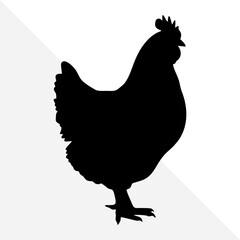 Minimalist Chicken Silhouette on Plain Background