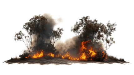 Destructive wildfire consuming forest area.