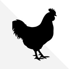 Minimalist Chicken Silhouette on Plain Background
