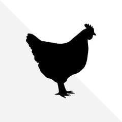 Farm Chicken Silhouette Illustration – White Background